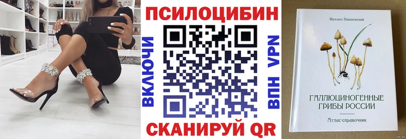 Галлюциногенные грибы Psilocybe  Ядрин 